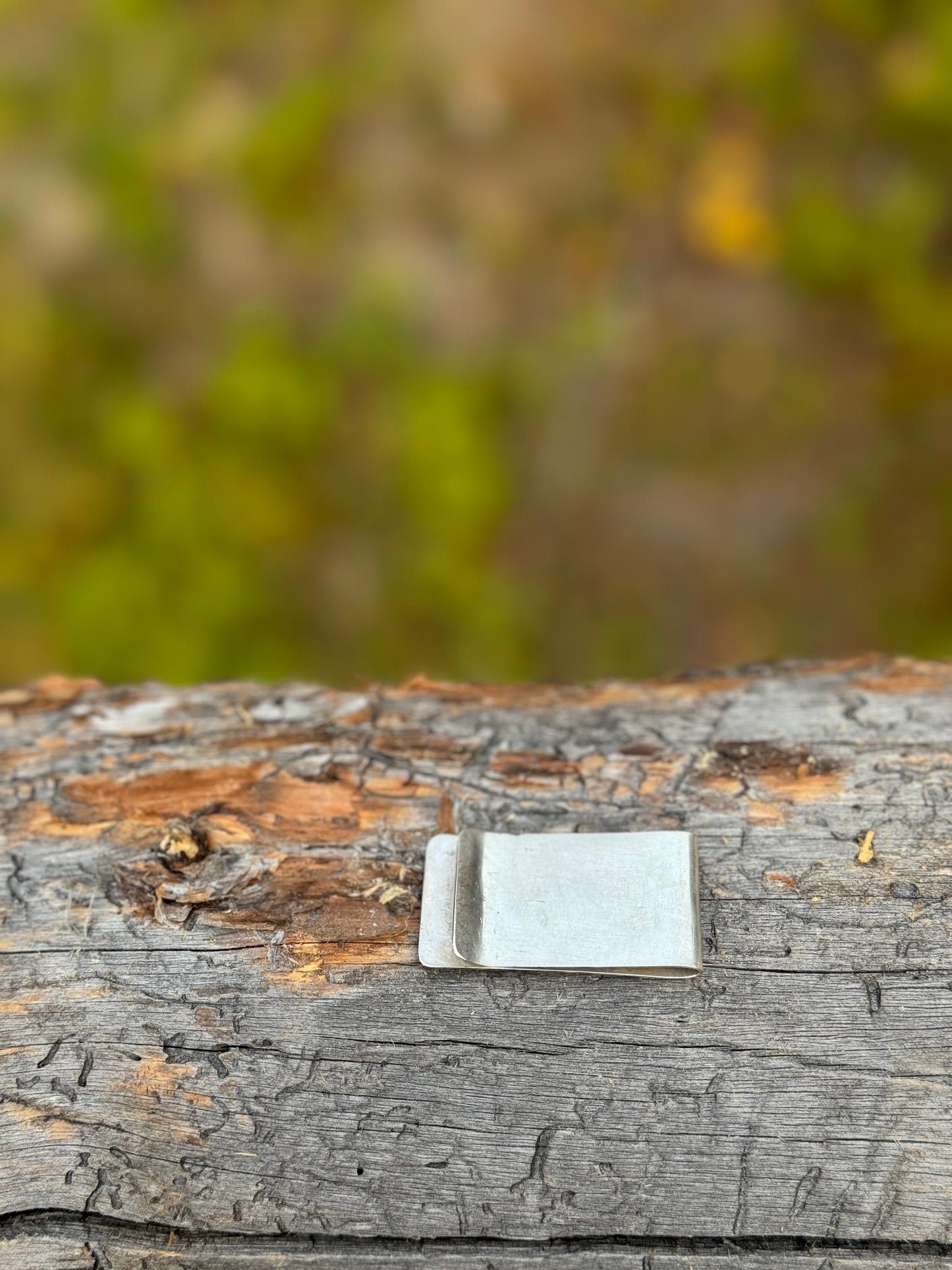 Buffalo Nickel Money Clips