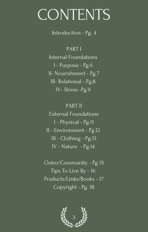 A Basic Guide To Men's Holistic Wellness