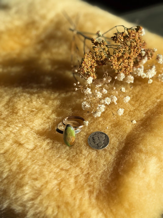 Evan’s Turquoise band w/accent Sz 8