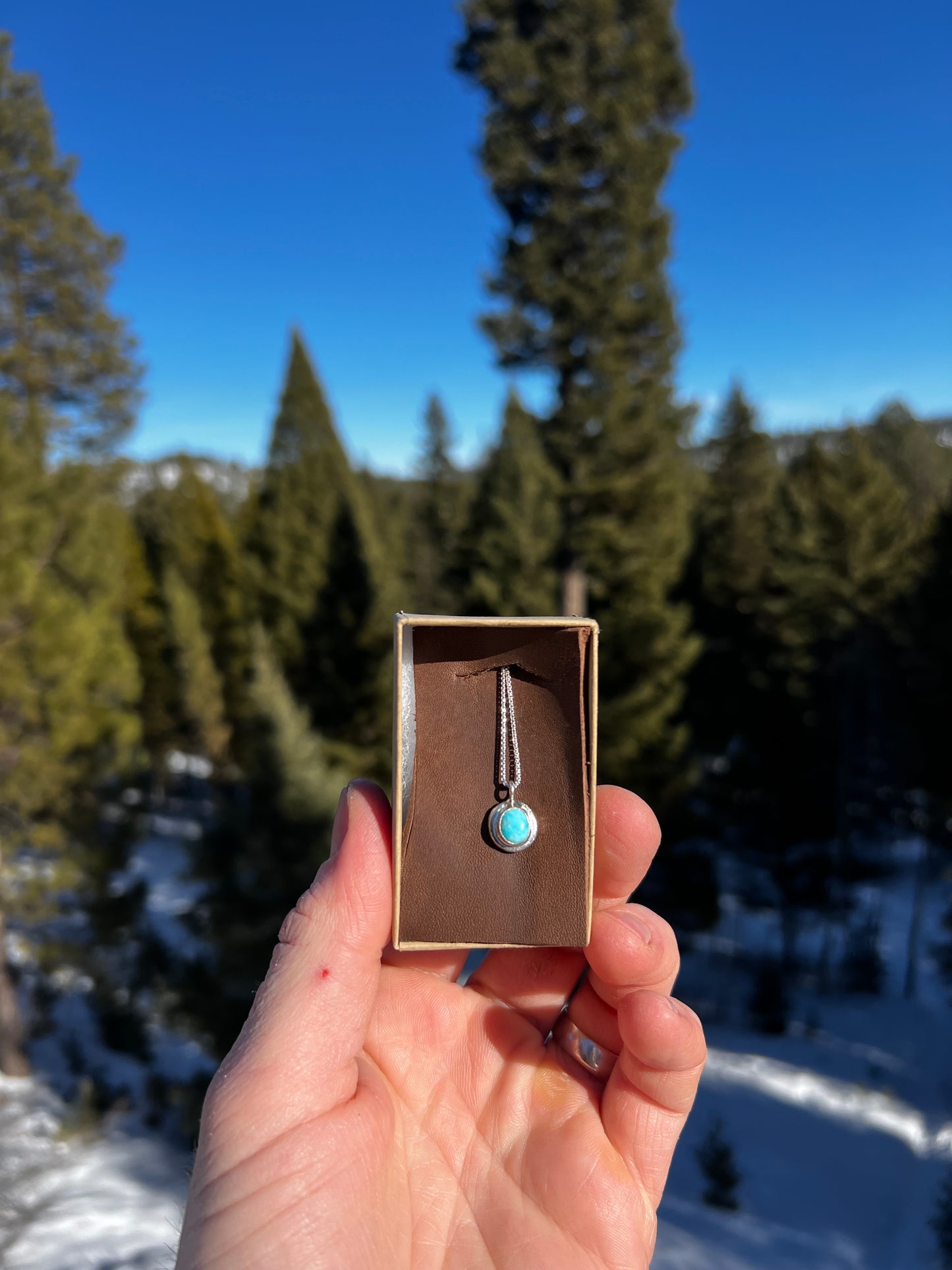 Blue Ridge Turquoise Charm Necklace #2